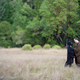 Illustration for article titled Jedi and Sith put their differences aside, decide to get married